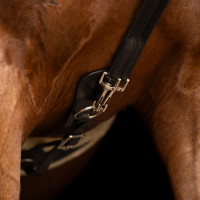 Redini tedesche SH Imperial Riding Core Marrone Redini tedesche SH Imperial Riding Core Marrone