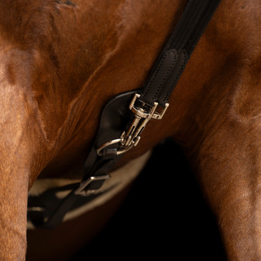 Redini tedesche SH Imperial Riding Core Redini tedesche SH Imperial Riding Core
