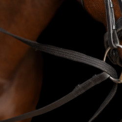 Redini tedesche SH Imperial Riding Core Redini tedesche SH Imperial Riding Core