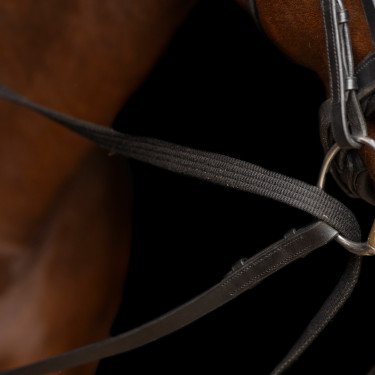 Redini tedesche SH Imperial Riding Core Redini tedesche SH Imperial Riding Core