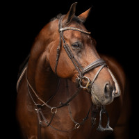 Martingala Imperial Riding Core Marrone Martingala Imperial Riding Core Marrone