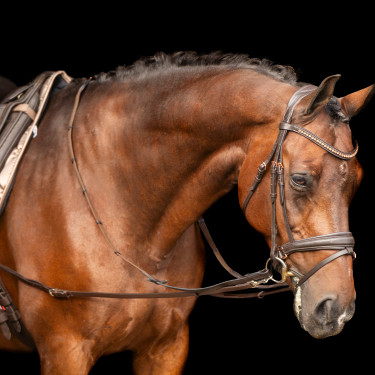 Redini ausiliarie Imperial Riding Core Marrone Redini ausiliarie Imperial Riding Core Marrone