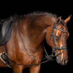 Redini ausiliarie Imperial Riding Core Redini ausiliarie Imperial Riding Core