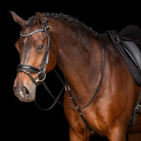 Chambon Imperial Riding Core Nero