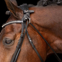 Chambon Imperial Riding Core Nero