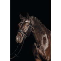 Bridon Bella HKM Nero