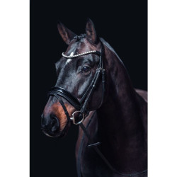 Bridon Fleur HKM Nero