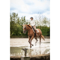 Cuffia anti-mosche Lavender Bay HKM Talpa Marrone