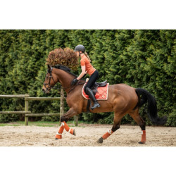 Fasce da polo Edinburgh HKM Fasce da polo Edinburgh HKM