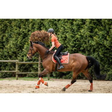 Fasce da polo Edinburgh HKM Fasce da polo Edinburgh HKM