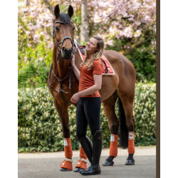 Fasce da polo Edinburgh HKM Fasce da polo Edinburgh HKM