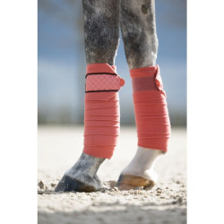 Fasce da polo Rosewood HKM Ruggine Marrone