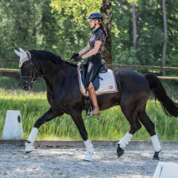 Stivali Liano HKM Brandy Marrone