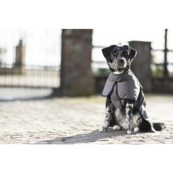 Cappotto per cane Buddy con fodera in pile HKM Grigio scuro Cappotto per cane Buddy con fodera in pile HKM Grigio scuro