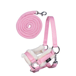 Capestro e lunghina Hobby Horsing HKM