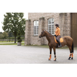 Tappeto Allure Cavallo HKM Tappeto Allure Cavallo HKM