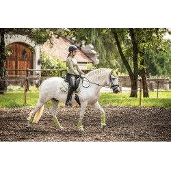 Tappeto Edinburgh HKM Pistacchio Verde