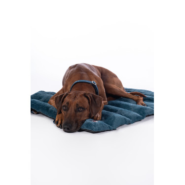 Tappeto per cane Anam Cara Travel HKM Tappeto per cane Anam Cara Travel HKM