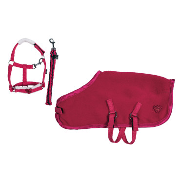 Set iniziale Cuddle Pony HKM Set iniziale Cuddle Pony HKM