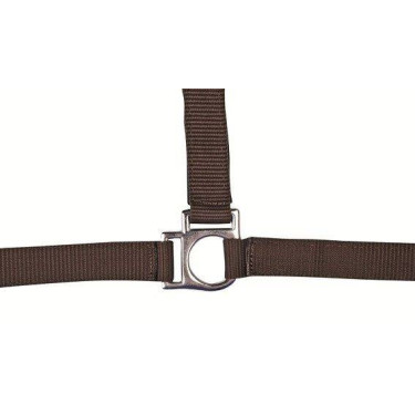 Capezza Stars HKM