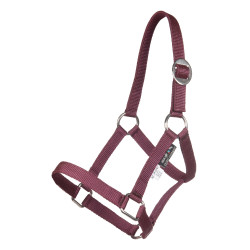 Capezzina Minishetty HKM Capezzina Minishetty HKM
