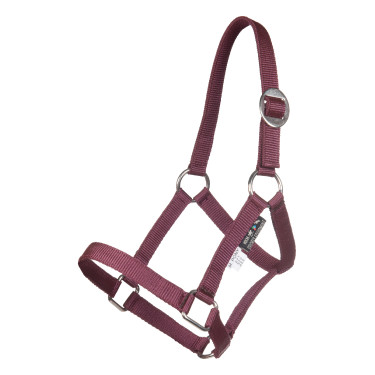 Capezzina Minishetty HKM Capezzina Minishetty HKM
