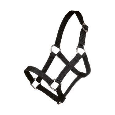 Capezzina Minishetty HKM Nero