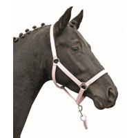 Capestro Stars Economy Softice HKM Rosa latteo Capestro Stars Economy Softice HKM Rosa latteo