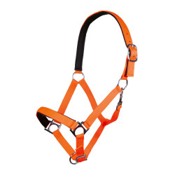Capestro Stars Softice fodera morbida HKM Capestro Stars Softice fodera morbida HKM