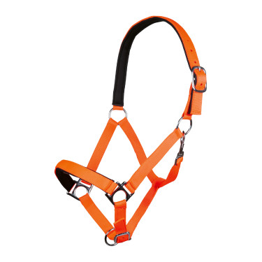 Capestro Stars Softice fodera morbida HKM Capestro Stars Softice fodera morbida HKM