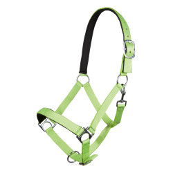 Capestro Stars Softice fodera morbida HKM Capestro Stars Softice fodera morbida HKM