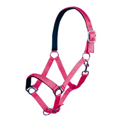Capestro Stars Softice fodera morbida HKM Rosa Capestro Stars Softice fodera morbida HKM Rosa