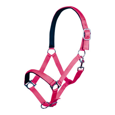 Capestro Stars Softice fodera morbida HKM Rosa Capestro Stars Softice fodera morbida HKM Rosa