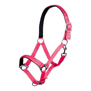 Capestro Stars Softice fodera morbida HKM Rosa neon