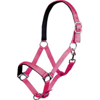 Capestro Stars Softice fodera morbida HKM Giallo fluo Capestro Stars Softice fodera morbida HKM Giallo fluo