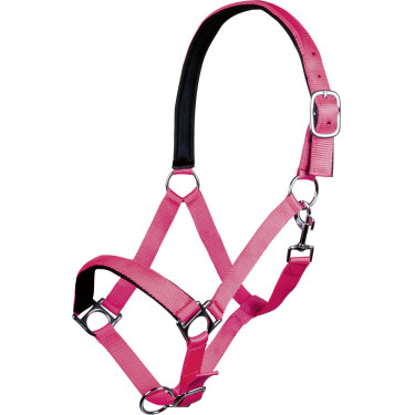 Capestro Stars Softice fodera morbida HKM Rosa neon