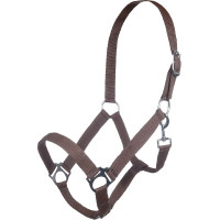 Capestro Innsbruck HKM Marrone scuro