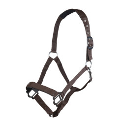 Capezzina Sydney Style HKM Marrone scuro Capezzina Sydney Style HKM Marrone scuro