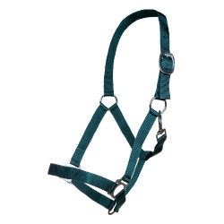 Capestro Brisbane HKM Verde scuro