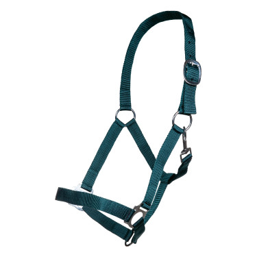 Capestro Brisbane HKM Verde scuro