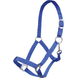 Capestro Brisbane HKM Blu reale