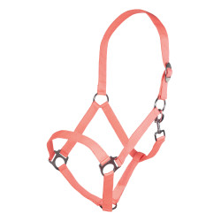 Capestro Stars Economy Softice HKM Capestro Stars Economy Softice HKM