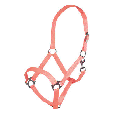 Capestro Stars Economy Softice HKM Capestro Stars Economy Softice HKM