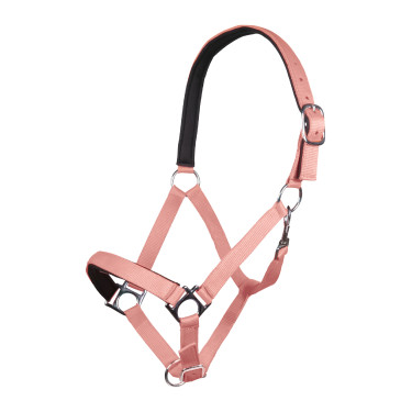 Capestro Stars Softice fodera morbida HKM