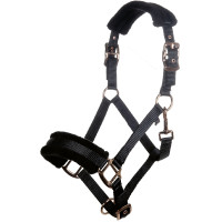 Capestro Rosegold Glamour Style HKM Nero / oro rosa Capestro Rosegold Glamour Style HKM Nero / oro rosa