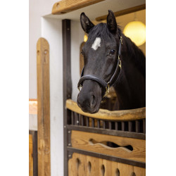 Capezza in cuoio Gold HKM Nero