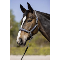 Longhina Berry con moschettone HKM Grigio scuro Longhina Berry con moschettone HKM Grigio scuro