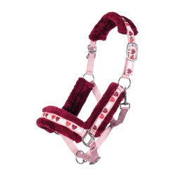 Capezzina Amelie HKM Capezzina Amelie HKM