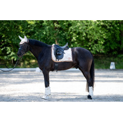 Stinchiere da dressage posteriori Edinburgh HKM Stinchiere da dressage posteriori Edinburgh HKM