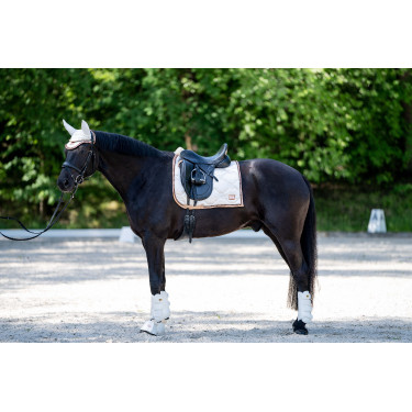 Stinchiere da dressage posteriori Edinburgh HKM Stinchiere da dressage posteriori Edinburgh HKM